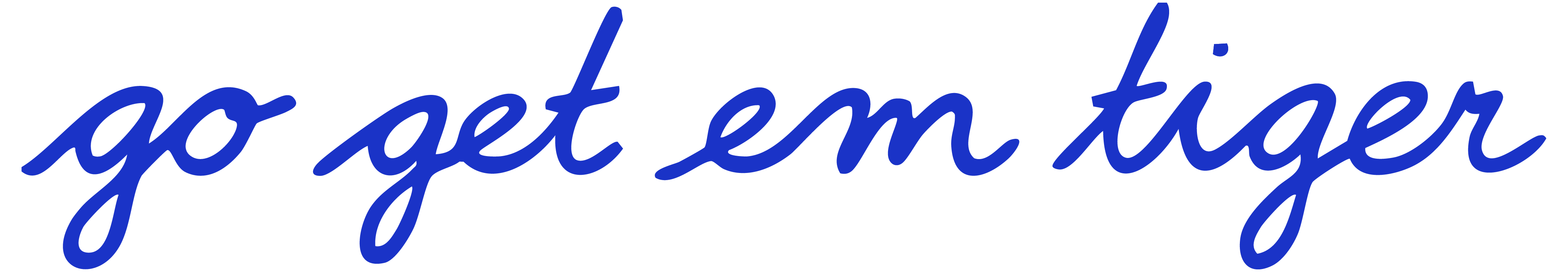 Go Get Em Tiger